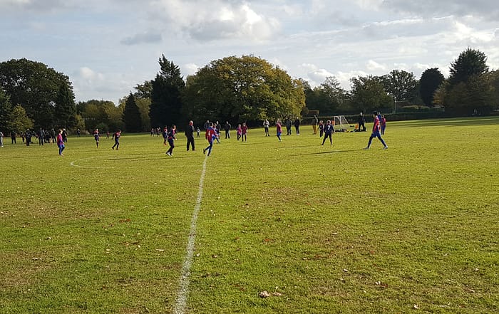 legacy leopards vs holy trinity stingrays